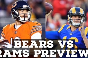 bear_vs_rams